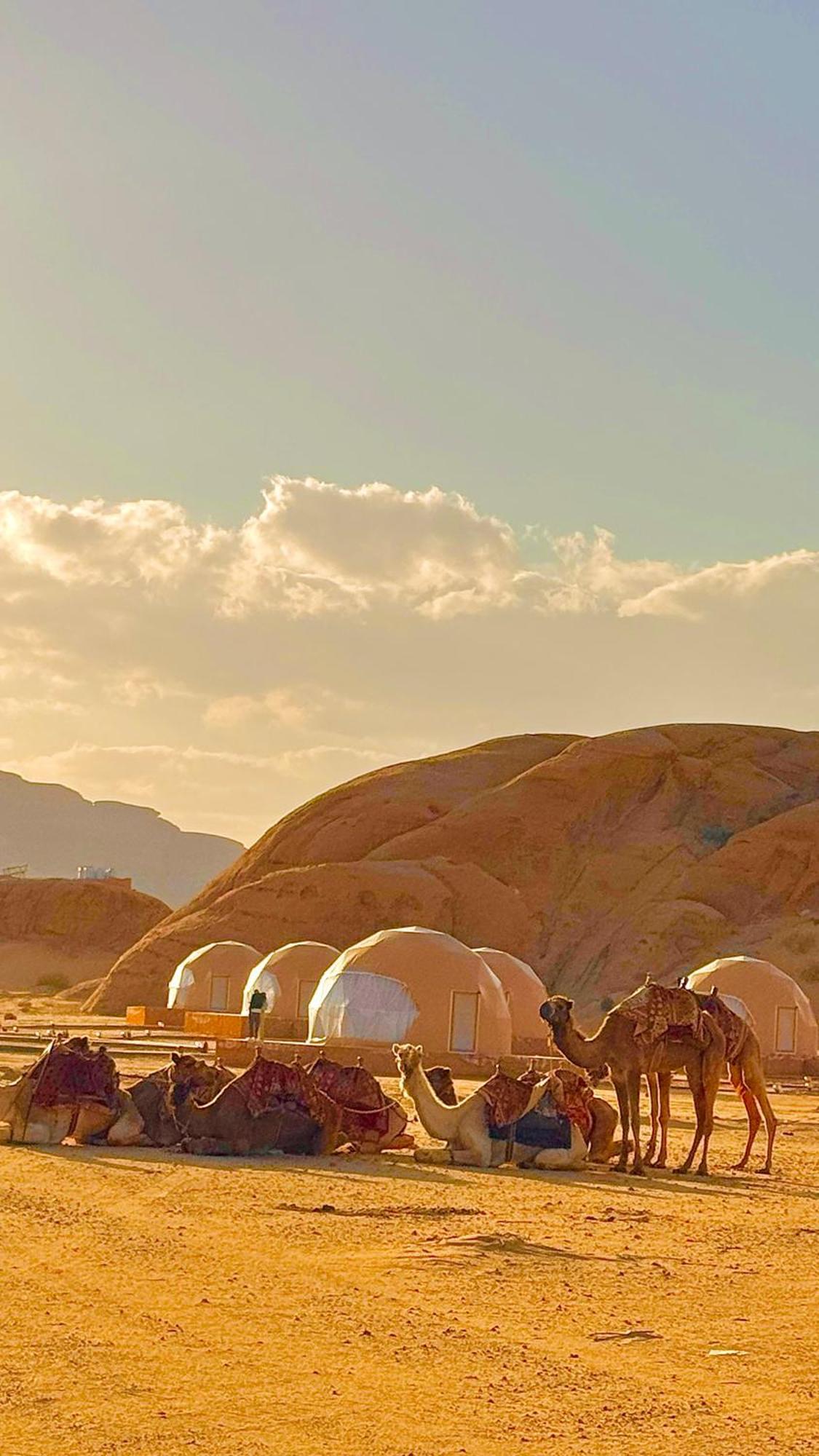 Wadi Rum Anwar Luxury Camp Екстер'єр фото